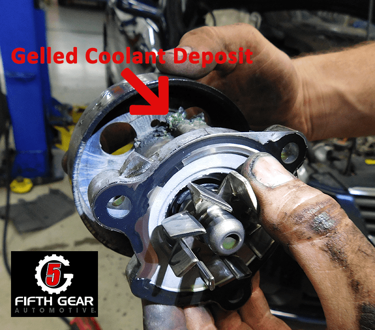 How to Tell If My Water Pump Is Going Bad? Auto Repair in Flower