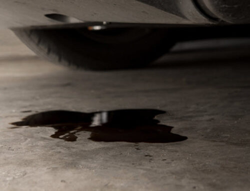 Expert Insights and Solutions For BMW Oil Leaks